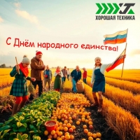 С Днём народного единства!