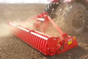 Dominator Dominator